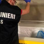Nas sequestrano una tonnellata di prodotti alimentari Nas sequestrano una tonnellata di prodotti alimentari
