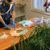 Montecalvo Irpino, spaccio di stupefacenti: i Carabinieri arrestano un 28enne