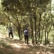 Perdono l’orientamento durante un’escursione in montagna: rintracciati dai Carabinieri Forestali