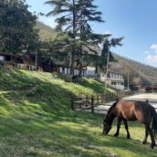 Confagricoltura Avellino, previsioni incoraggianti negli agriturismi irpini Confagricoltura Avellino, previsioni incoraggianti negli agriturismi irpini
