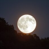 Spettacolo del cielo di agosto: si parte stasera con la Luna dello Storione