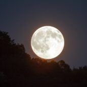 Spettacolo del cielo di agosto: si parte stasera con la Luna dello Storione Spettacolo del cielo di agosto: si parte stasera con la Luna dello Storione