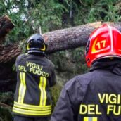 Irpinia, vento forte e fiamme, caschi rossi in azione Irpinia, vento forte e fiamme, caschi rossi in azione