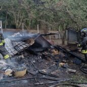 Baracca di legno e lamiere distrutta in un incendio: intervengono i Vigili del Fuoco Baracca di legno e lamiere distrutta in un incendio: intervengono i Vigili del Fuoco