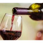 Vino da supermercato vince un premio internazionale: la storia Vino da supermercato vince un premio internazionale: la storia