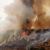 Incendi boschivi dolosi in Valle Caudina: condanna a 4 anni per un sannita Incendi boschivi dolosi in Valle Caudina: condanna a 4 anni per un sannita