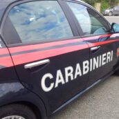 Frasso Telesino, tenta di rubare il legname: fermato e denunciato dai Carabinieri Frasso Telesino, tenta di rubare il legname: fermato e denunciato dai Carabinieri