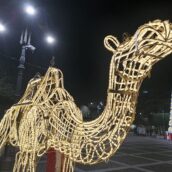 Luminarie sabotate a Grottaminarda. L’Amministrazione sporge denuncia Luminarie sabotate a Grottaminarda. L’Amministrazione sporge denuncia