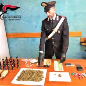 Operazione antidroga dei Carabinieri nella Val Fortore: scoperti ed arrestati due uomini Operazione antidroga dei Carabinieri nella Val Fortore: scoperti ed arrestati due uomini