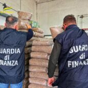 GdF Benevento: sequestrate 11 tonnellate di pellet non sicuro GdF Benevento: sequestrate 11 tonnellate di pellet non sicuro