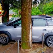 Perde il controllo dell’auto e finisce contro due alberi: ferito 59enne