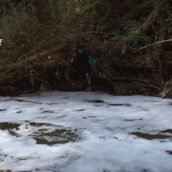 Campagna “Fiume sicuro”, gravi violazioni ambientali in Irpinia Campagna “Fiume sicuro”, gravi violazioni ambientali in Irpinia