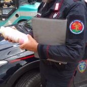 Controlli sui Fitofarmaci, il bilancio dei Carabinieri di Avellino Controlli sui Fitofarmaci, il bilancio dei Carabinieri di Avellino