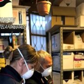Controlli sui Fitofarmaci, un’attività su quattro non è in regola: sanzioni a Benevento e Montella