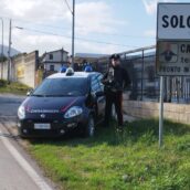 Guardia Sanframondi, viola il divieto di rientro alla casa familiare: arrestato 58enne Guardia Sanframondi, viola il divieto di rientro alla casa familiare: arrestato 58enne