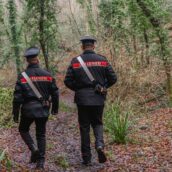 Parma, uomo cerca tartufi e trova un teschio umano Parma, uomo cerca tartufi e trova un teschio umano