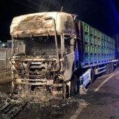 Incendio nella zona industriale di Lacedonia: vigili del fuoco salvano autotreno carico di pomodori Incendio nella zona industriale di Lacedonia: vigili del fuoco salvano autotreno carico di pomodori