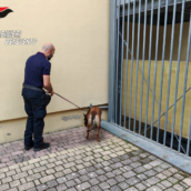 Benevento, controlli antidroga all’interno delle scuole Benevento, controlli antidroga all’interno delle scuole