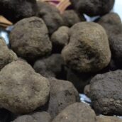 Bagnoli Irpino, conto alla rovescia per “Il Nero di Bagnoli” 2024 Bagnoli Irpino, conto alla rovescia per “Il Nero di Bagnoli” 2024