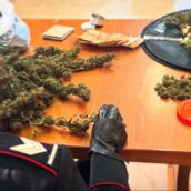Montesarchio, nascondeva droga in casa: arrestato 20enne Montesarchio, nascondeva droga in casa: arrestato 20enne