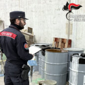Alta Irpinia, i Carabinieri Forestali sequestrano un opificio
