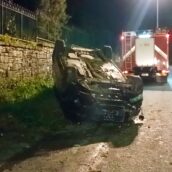 Avellino, cinghiale finisce in carreggiata urtando un’automobile in transito: donna trasportata in ospedale