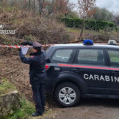 Santo Stefano del Sole, distruzione e deturpamento di bellezze naturali: i Carabinieri denunciano la proprietaria del terreno
