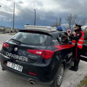 Mirabella Eclano, trasportava rifiuti animali senza autorizzazione: denunciato 55enne