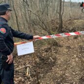 Distruzione di un bosco in area sottoposta a vincolo idrogeologico: denunciato 65enne