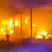 Bisaccia, incendio in un deposito agricolo