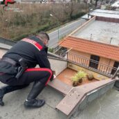 Sirignano, anziana signora soccorsa e salvata dai Carabinieri