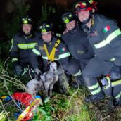 Salvataggio di un cane a Salza Irpina: intervento dei Vigili del Fuoco di Avellino