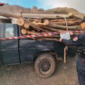 I Carabinieri Forestali denunciano due persone per taglio abusivo e furtivo di piante