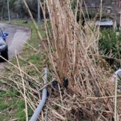 Mirabella Eclano, auto sfonda il guardrail e finisce fuori strada