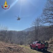 Persona bloccata sotto un ramo: intervento dei Vigili del Fuoco di Lioni e del 118