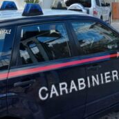 Mercogliano, i Carabinieri Forestali denunciano un imprenditore