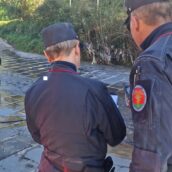 Teora, campagna controlli autodemolitori: denunciato il titolare di un opificio