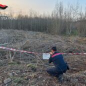 Ariano Irpino, i Carabinieri sequestrano un’area boschiva di 4.000 mq