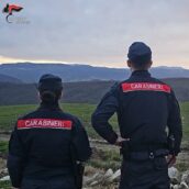 Vallo di Lauro, abusivismo edilizio e gestione illecita di rifiuti: denunciate due persone