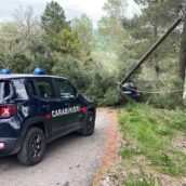 Villanova del Battista, albero cade su un’auto: sfiorata la tragedia Villanova del Battista, albero cade su un’auto: sfiorata la tragedia