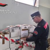 San Giorgio del Sannio, irregolarità in un’azienda agricola: sequestrati 406kg di prodotti San Giorgio del Sannio, irregolarità in un’azienda agricola: sequestrati 406kg di prodotti