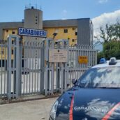 Cassano Irpino, i Carabinieri accertano violazioni ambientali in un’azienda agricola Cassano Irpino, i Carabinieri accertano violazioni ambientali in un’azienda agricola