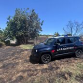 Savignano Irpino, terreno in fiamme: nessun ferito