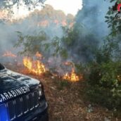 Lotta agli incendi boschivi in Irpinia: i Carabinieri intensificano i controlli