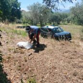 Fontanarosa, Carabinieri ritrovano e restituiscono buoni postali rubati a un anziano