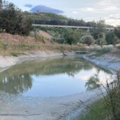 Uniagri Valle Ufita lancia l’allarme: dopo le nocciole, la siccità mette in ginocchio anche gli ulivi e le colture della zona
