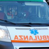 Giornata di incidenti ad Ariano Irpino: paura sulla Statale 90, donna ferita dopo uno scontro causato dai cinghiali
