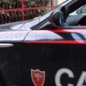 Serra domestica in camera da letto: denunciata una donna a Casalbore