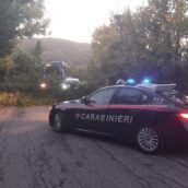 Greci, albero crolla sulla strada provinciale 58: intervengono Carabinieri e Vigili del Fuoco