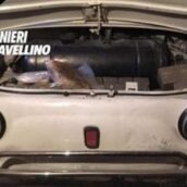 Scacco ai narcos, nelle indagini della Dda sequestrati quasi due quintali di droga
